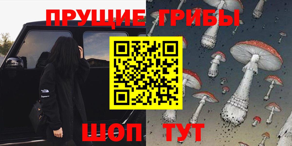Щёлково  Псилоцибиновые грибы Cubensis  Вход с VPN  Галлюциногенные грибы мицелий 